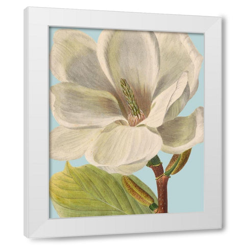 Fresh Florals I White Modern Wood Framed Art Print by Vision Studio