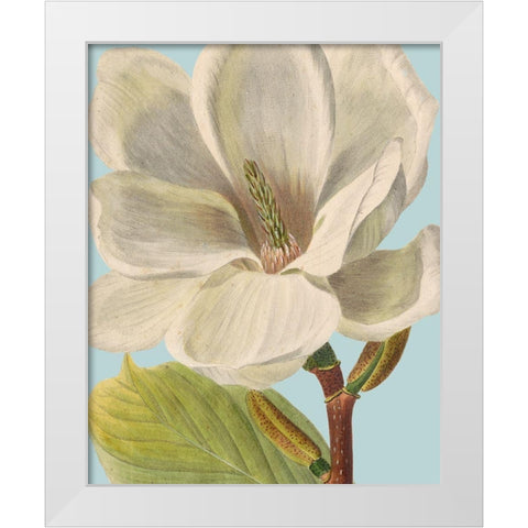 Fresh Florals I White Modern Wood Framed Art Print by Vision Studio
