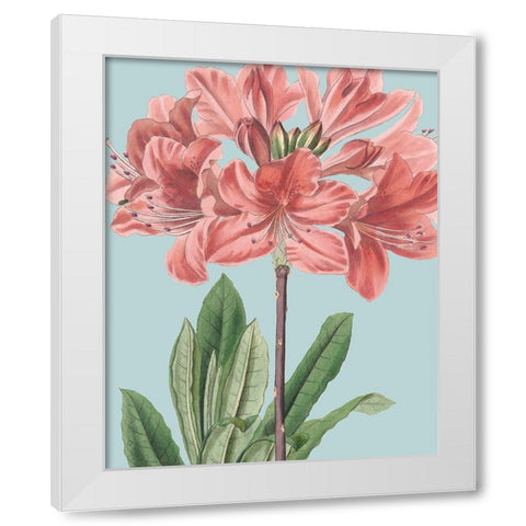 Fresh Florals III White Modern Wood Framed Art Print by Vision Studio