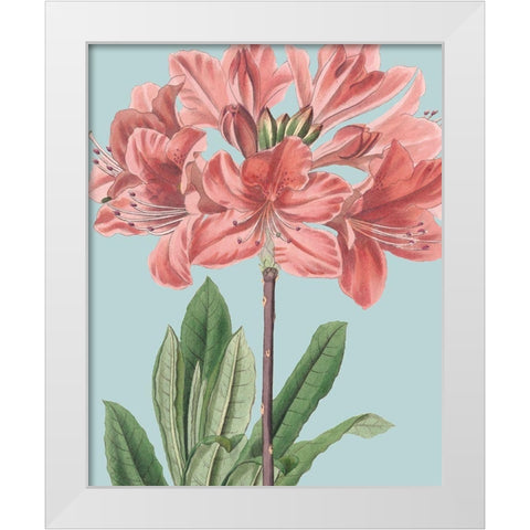 Fresh Florals III White Modern Wood Framed Art Print by Vision Studio