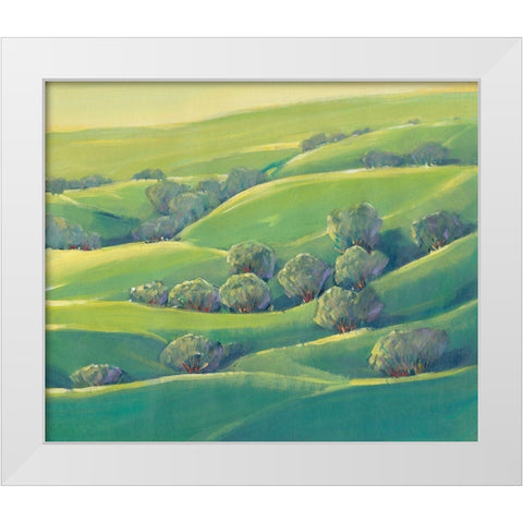 Hillside View I White Modern Wood Framed Art Print by OToole, Tim