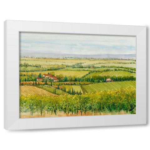 Wine Country View I White Modern Wood Framed Art Print by OToole, Tim