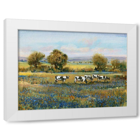 Field of Cattle I White Modern Wood Framed Art Print by OToole, Tim