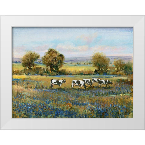 Field of Cattle I White Modern Wood Framed Art Print by OToole, Tim