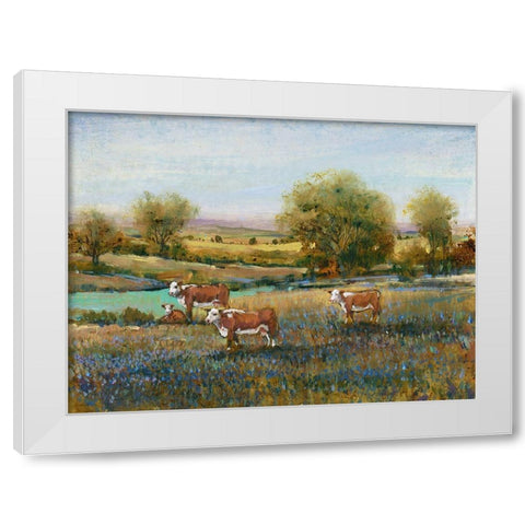 Field of Cattle II White Modern Wood Framed Art Print by OToole, Tim