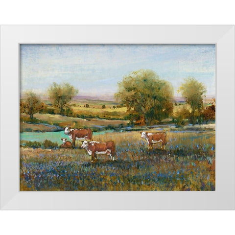 Field of Cattle II White Modern Wood Framed Art Print by OToole, Tim