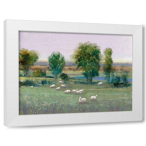 Field of Sheep I White Modern Wood Framed Art Print by OToole, Tim