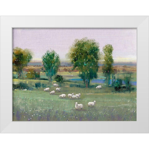 Field of Sheep I White Modern Wood Framed Art Print by OToole, Tim