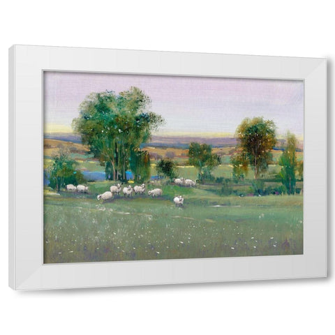 Field of Sheep II White Modern Wood Framed Art Print by OToole, Tim