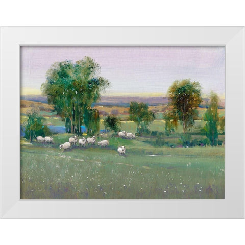 Field of Sheep II White Modern Wood Framed Art Print by OToole, Tim
