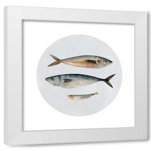 Three Fish I White Modern Wood Framed Art Print by Scarvey, Emma