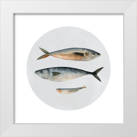 Three Fish I White Modern Wood Framed Art Print by Scarvey, Emma