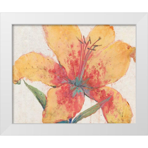 Blooming Lily White Modern Wood Framed Art Print by OToole, Tim