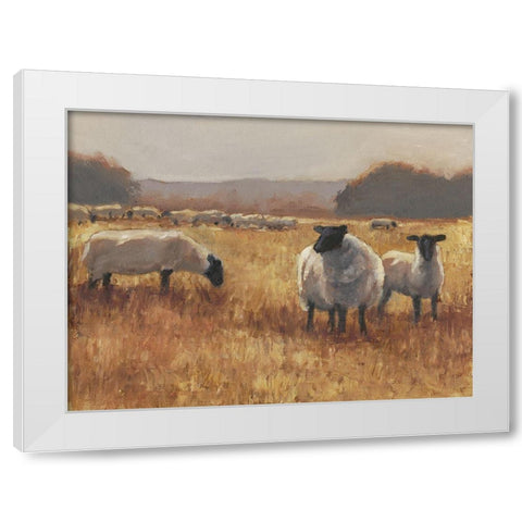 Grazing at Sunset II White Modern Wood Framed Art Print by Harper, Ethan