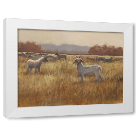 Grazing Goats I White Modern Wood Framed Art Print by Harper, Ethan