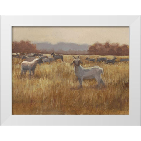 Grazing Goats I White Modern Wood Framed Art Print by Harper, Ethan