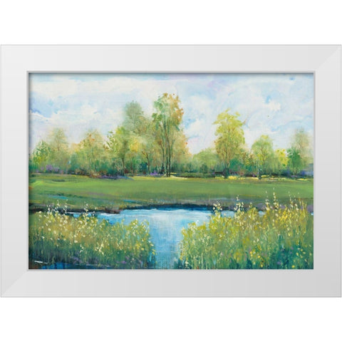 Tranquil Park II White Modern Wood Framed Art Print by OToole, Tim
