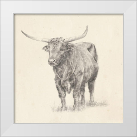 Longhorn Steer Sketch I White Modern Wood Framed Art Print by Harper, Ethan