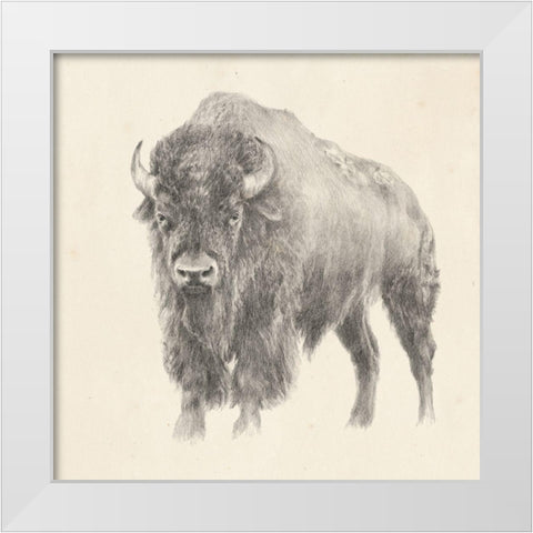 Western Bison Study White Modern Wood Framed Art Print by Harper, Ethan
