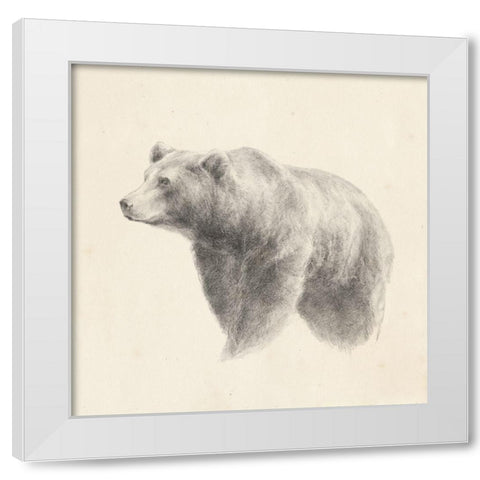 Western Bear Study White Modern Wood Framed Art Print by Harper, Ethan