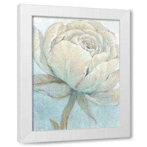 English Rose II White Modern Wood Framed Art Print by OToole, Tim