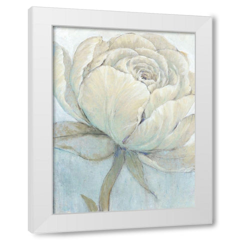 English Rose II White Modern Wood Framed Art Print by OToole, Tim