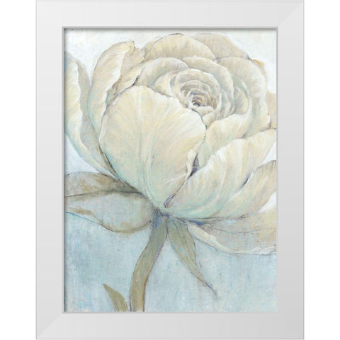 English Rose II White Modern Wood Framed Art Print by OToole, Tim