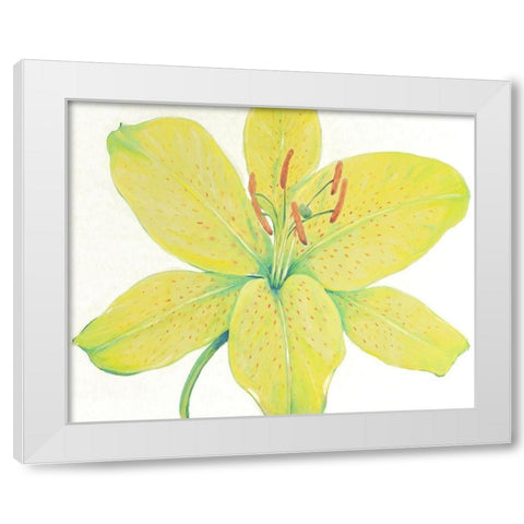 Citron Tiger Lily I White Modern Wood Framed Art Print by OToole, Tim