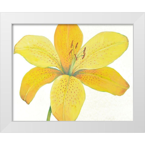 Citron Tiger Lily II White Modern Wood Framed Art Print by OToole, Tim