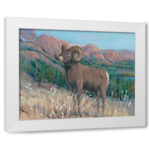 Animals of the West IV White Modern Wood Framed Art Print by OToole, Tim