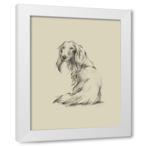 Puppy Dog Eyes II White Modern Wood Framed Art Print by Harper, Ethan