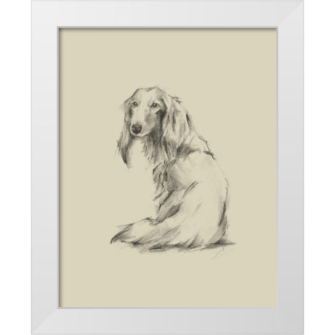 Puppy Dog Eyes II White Modern Wood Framed Art Print by Harper, Ethan