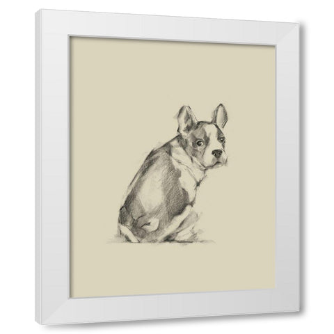 Puppy Dog Eyes IV White Modern Wood Framed Art Print by Harper, Ethan