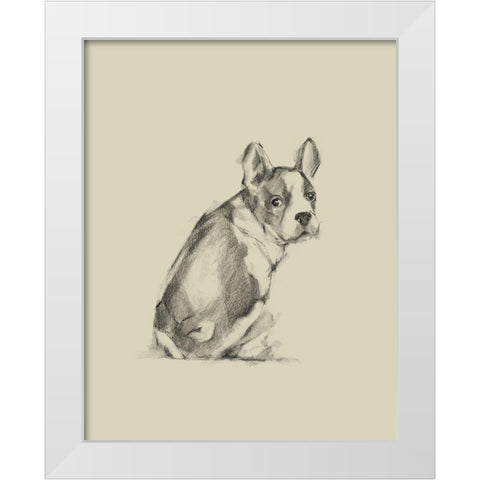 Puppy Dog Eyes IV White Modern Wood Framed Art Print by Harper, Ethan