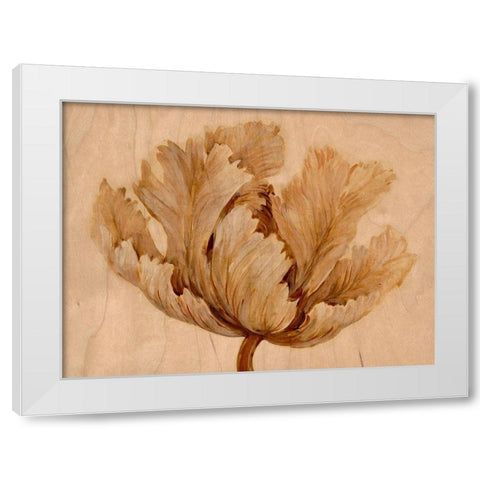 Sepia Tulip on Birch I White Modern Wood Framed Art Print by OToole, Tim