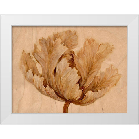 Sepia Tulip on Birch I White Modern Wood Framed Art Print by OToole, Tim