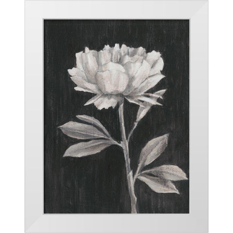 Black and White Flowers III White Modern Wood Framed Art Print by Harper, Ethan