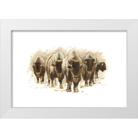 Herd of Bison I White Modern Wood Framed Art Print by Harper, Ethan