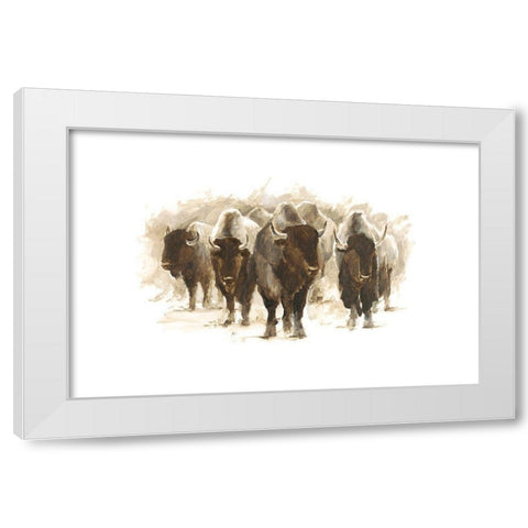 Herd of Bison II White Modern Wood Framed Art Print by Harper, Ethan