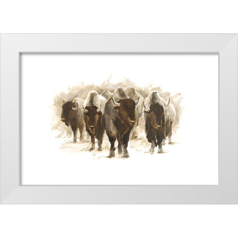 Herd of Bison II White Modern Wood Framed Art Print by Harper, Ethan