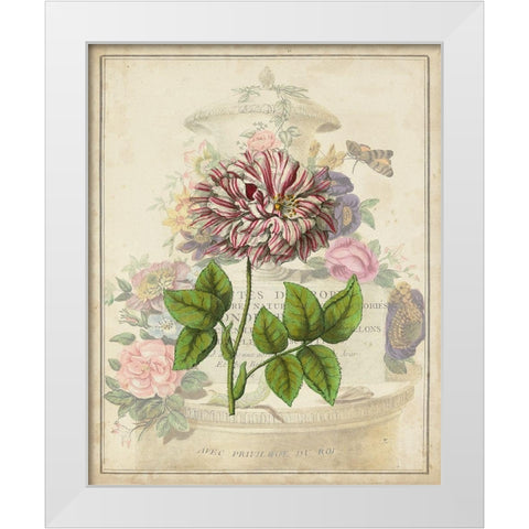 Vintage Rose Bookplate White Modern Wood Framed Art Print by Vision Studio