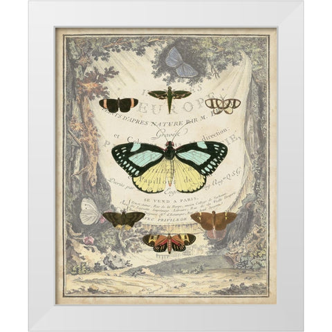 Vintage Butterfly Bookplate White Modern Wood Framed Art Print by Vision Studio
