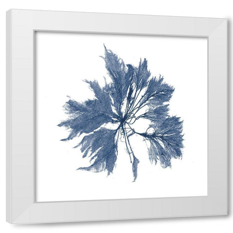 Navy Seaweed I White Modern Wood Framed Art Print by Vision Studio