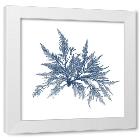 Navy Seaweed V White Modern Wood Framed Art Print by Vision Studio