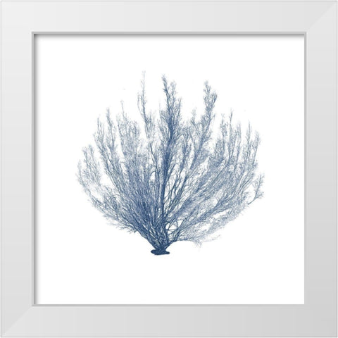 Navy Seaweed VI White Modern Wood Framed Art Print by Vision Studio