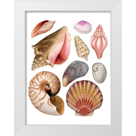 Sea Souvenirs II White Modern Wood Framed Art Print by Popp, Grace