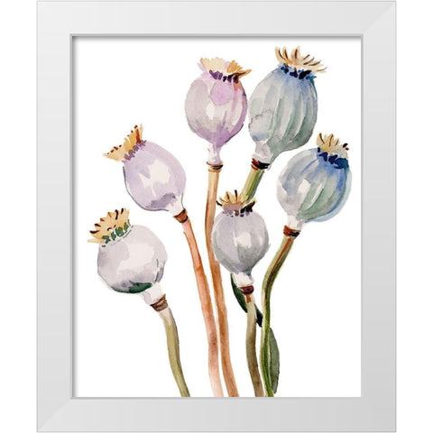Watercolor Poppy Pods I White Modern Wood Framed Art Print by Parker, Jennifer Paxton