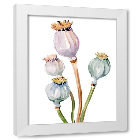 Watercolor Poppy Pods II White Modern Wood Framed Art Print by Parker, Jennifer Paxton
