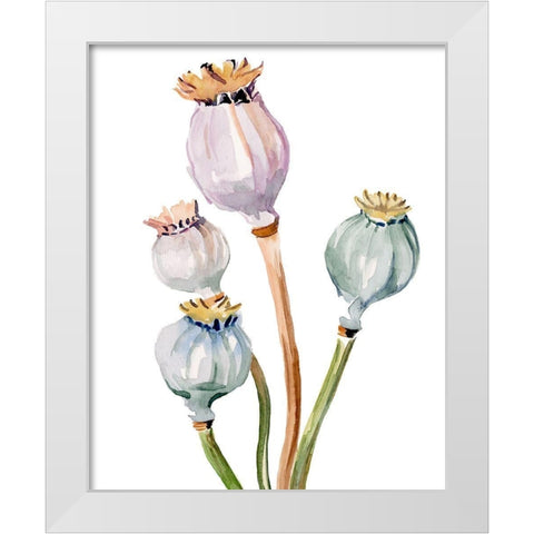 Watercolor Poppy Pods II White Modern Wood Framed Art Print by Parker, Jennifer Paxton