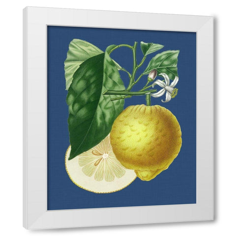 French Lemon on Navy I White Modern Wood Framed Art Print by Risso, A.